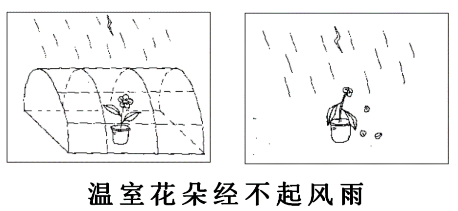 20220402464620.png 图片3.png